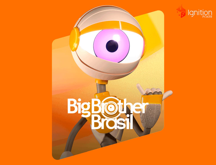 bbb reality show big brother brasil