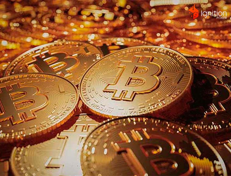 bitcoin moneda apostar Moneda Bitcoin