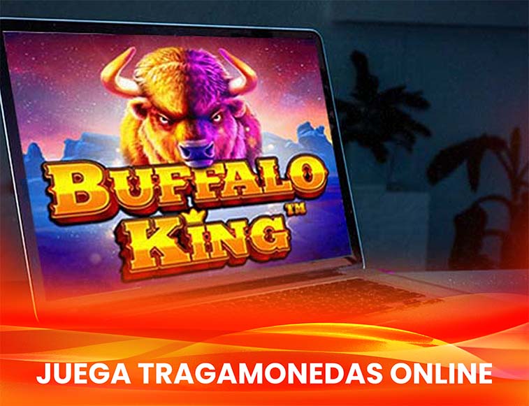 tragamonedas online desierto Computadora con slot buffalo king