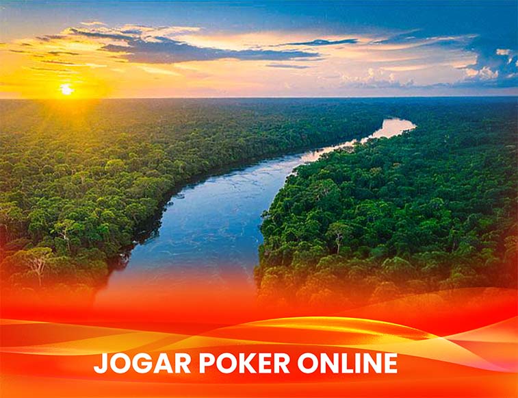 Amazonia Manaus Brasil Vista aérea da floresta amazônica